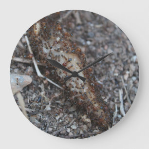 Swarm of Ants Photo Printed Große Wanduhr