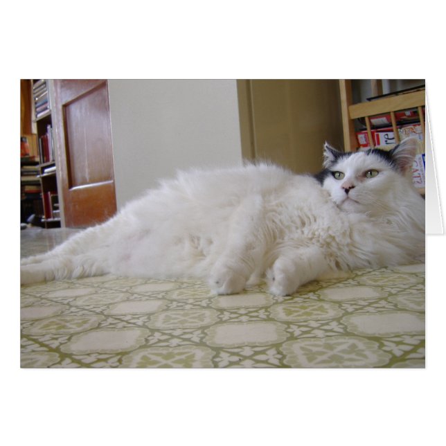 Sweat Pea (Vorderseite (Horizontal))