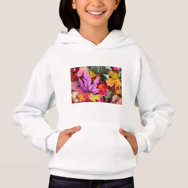 sweat - shirt à capuche (Devant)