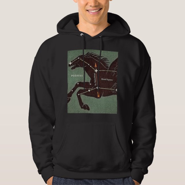 Sweat - shirt à capuche (Devant)