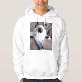 SWEAT - SHIRT À CAPUCHE CAT SIAMES
