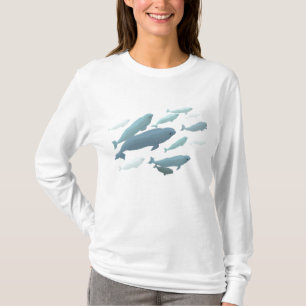Sweat - shirt à capuche de baleine à capuchon de B