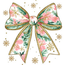 Sweat - shirt à capuche style coquette