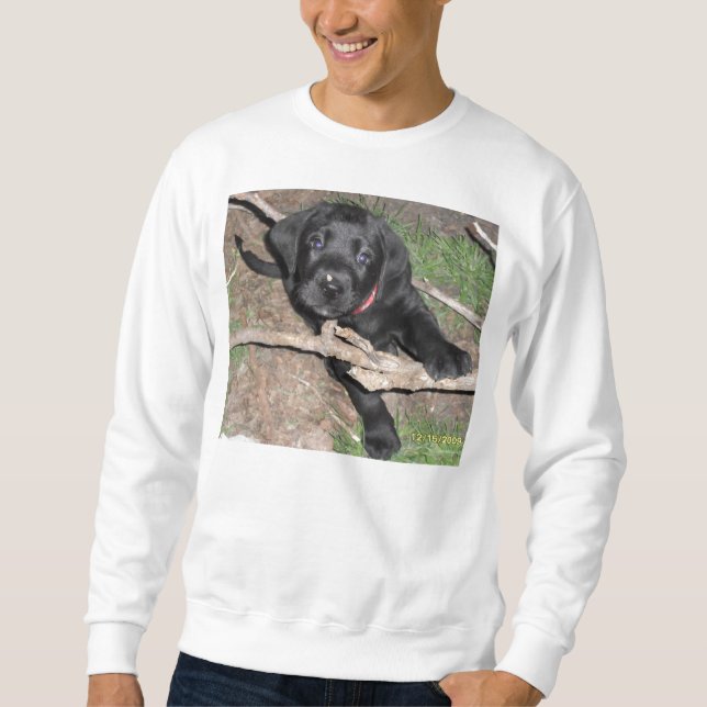 Sweatshirt âge noir de chiot de laboratoire 6 semaines (Devant)