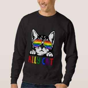 Sweatshirt Ally Cat LGBT Pride Mois Rainbow Verres