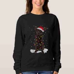 Sweatshirt amoureux des chiens Chocolat Labrador Retriever