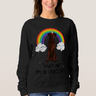Sweatshirt Arcade Retriever à poil frisé Trust Me I'm A Licor