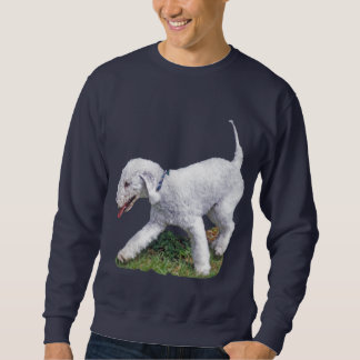 Sweatshirt Bedlington Terrier
