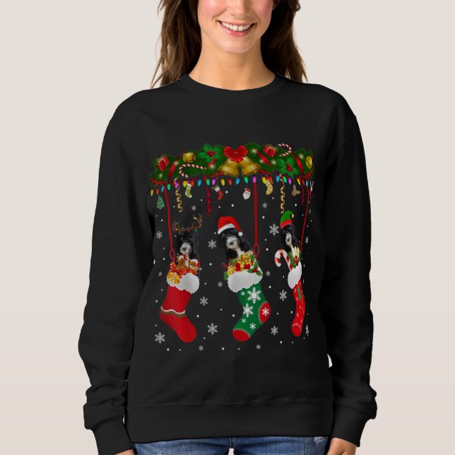 Sweatshirt Bernedoodle Dans Sock Xmas Reindeer Père Noël ELF  (Devant)
