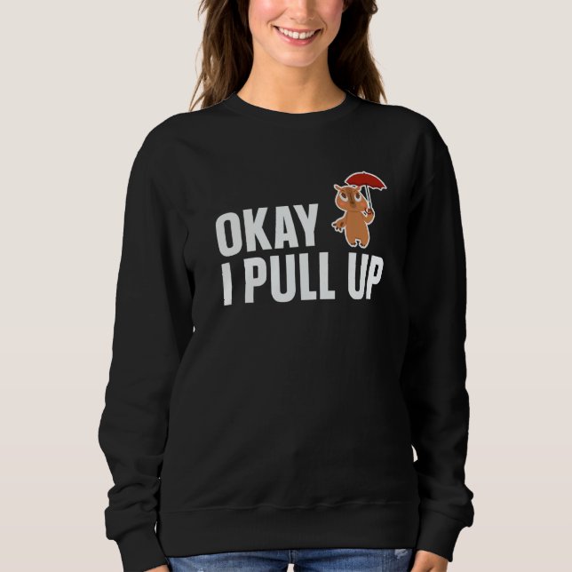 Sweatshirt Capybara Ok I Pull Up  Capybara (Devant)