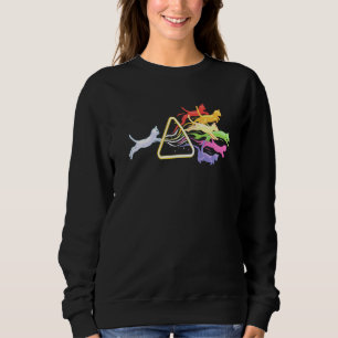 Sweatshirt Cat Prism Rainbow Light Physics Spectral C