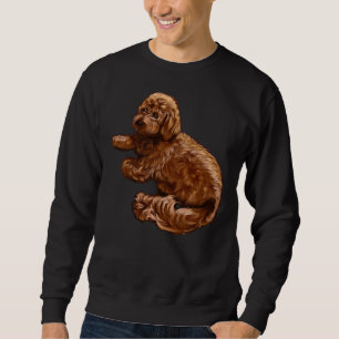 Sweatshirt Cavalier King Charles Spaniel Poodle Cavapoo Chiot