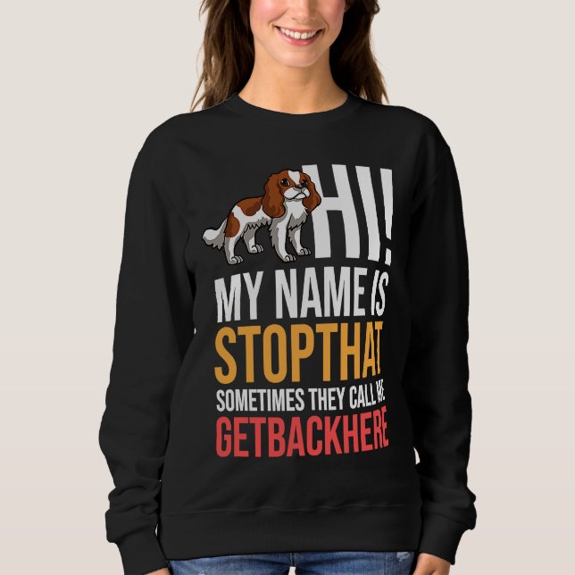 Sweatshirt Cavalier King Charlies Spaniel Dog Puppies Owner (Devant)