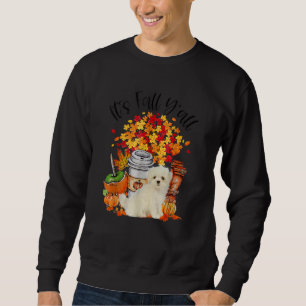 Sweatshirt C'est Automne Y'all Maltais Chien Citrouille Autom
