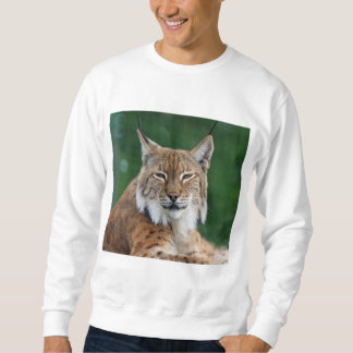 Sweatshirt Chandail Lynx CCO.