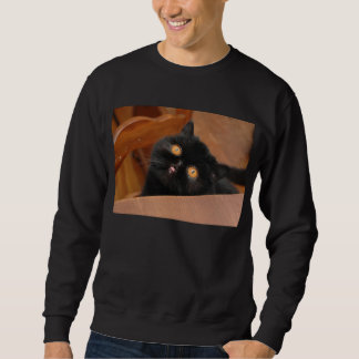 Sweatshirt Chat drôle