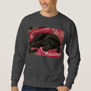 Sweatshirt Chemises somnolentes de chien