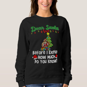 Sweatshirt Cher Père Noël avant que je n'explique combien sav