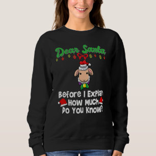 Sweatshirt Cher Père Noël avant que j'explique combien en sav