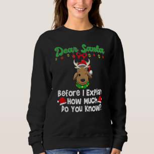 Sweatshirt Cher Père Noël avant que j'explique Combien en sav