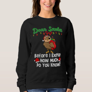 Sweatshirt Cher Père Noël avant que j'explique combien savez-