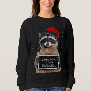Sweatshirt Cher Père Noël, Je Peux Expliquer Drôle Raccoon De