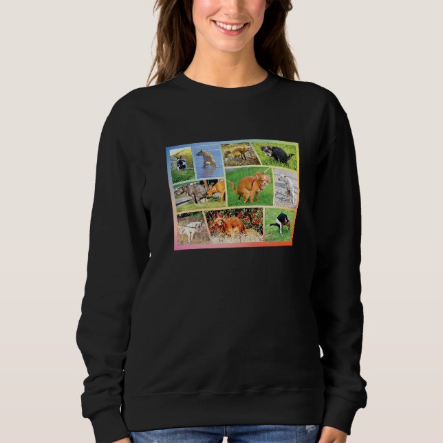 Sweatshirt Chien de Chihuahua, propriétaire d'un animal de co (Devant)