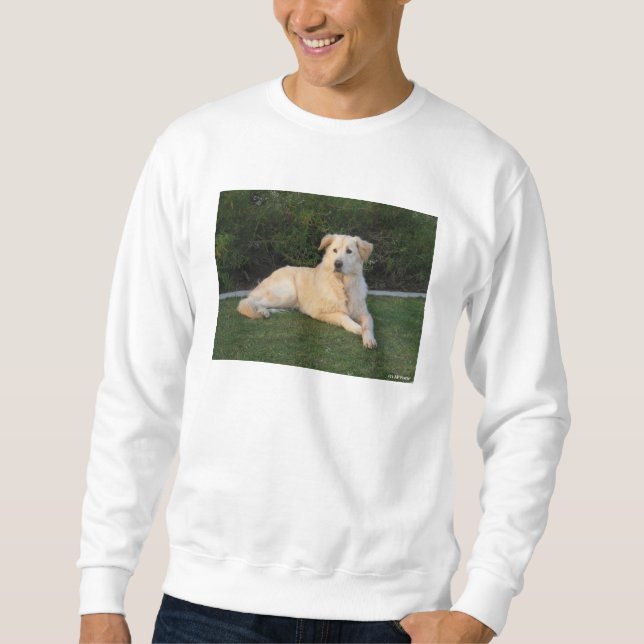 Sweatshirt Chien relaxant (Devant)