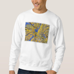 Sweatshirt Colorado Fall   Forêt d'Aspen en automne