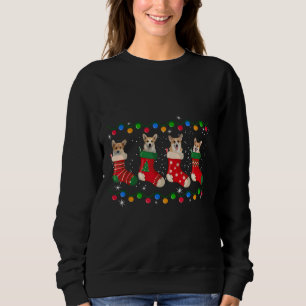 Sweatshirt Corgi En Chaussettes Noël