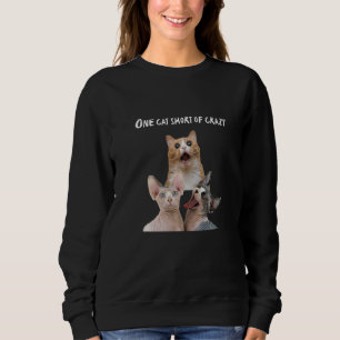 Sweatshirt Crazy Cat Lady Man Tee - shirts Un Chat Court Craz