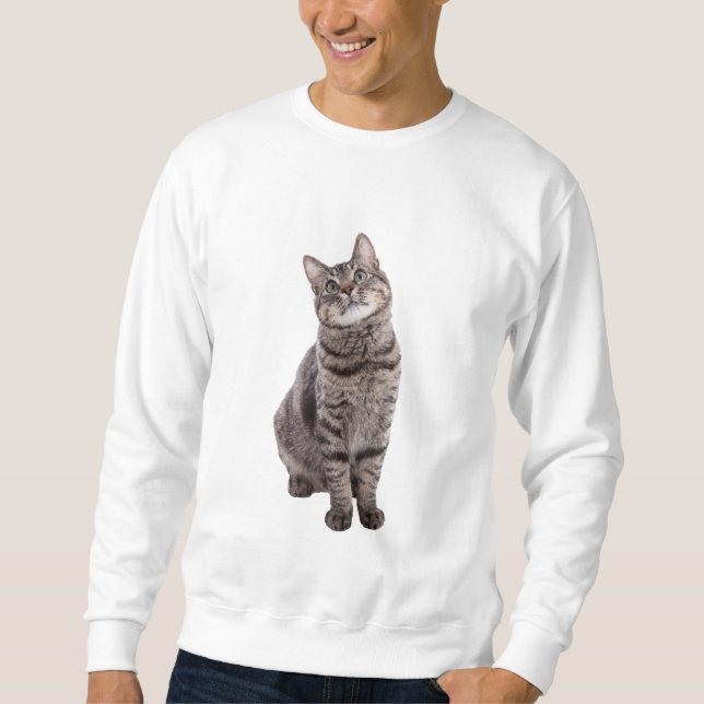 Sweatshirt Cute tabby Chat (Devant)