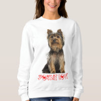 Dames de chiots du Yorkshire Terrier