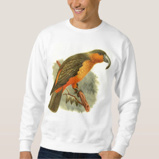 Sweatshirt de base de Nestor Norfolcensis