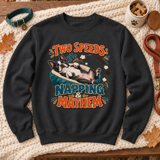 Sweatshirt Deux vitesses Sieste & Pagaille Drôle Boston Terri
