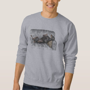 Sweatshirt Doberman drôle sur Sofa