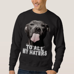 Sweatshirt Drôle Pitbull à tous mes détesteurs Pitbull Amoure