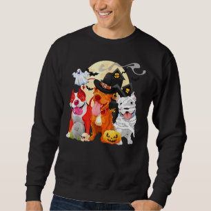 Sweatshirt Drôle Pitbull Chien Sorcière Casquette  de peur Ci