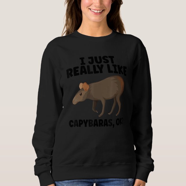 Sweatshirt Funny Capybara Design For Pet Owner Cool Capybara  (Devant)