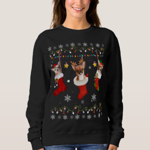 Sweatshirt Funny Chihuahua Chaussettes de Noël Lumières Cadea