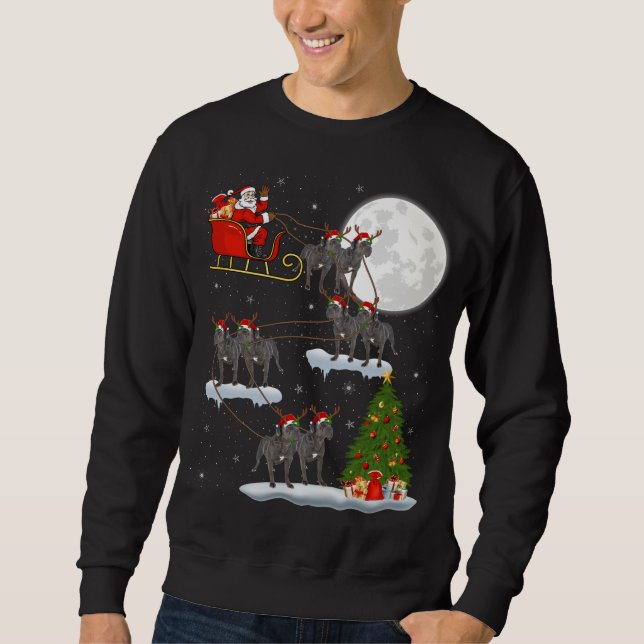 Sweatshirt Funny Xmas Éclairage Arbre Père Noël équitation Ca (Devant)
