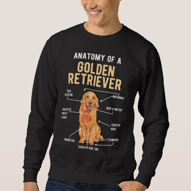Sweatshirt Golden Retriever Anatomie drôle chien (Devant)