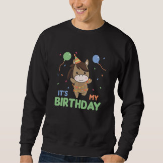 Sweatshirt Horse Birthday For Kids It's My Birthday