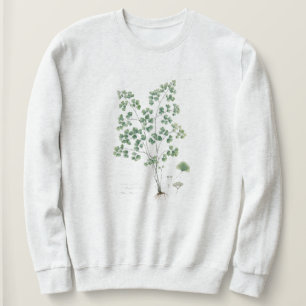 Sweatshirt Illustration botanique de la fougère capillaire vi