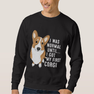 Sweatshirt J'Étais Normal Jusqu'À Ce Que J'Ai Mon Premier Chi