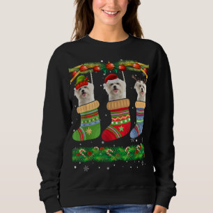 Sweatshirt Jeu de Noël Maltais Chien Chien Chien Chien Chien