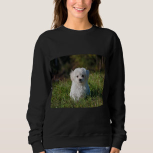 Sweatshirt Joli chiot blanc