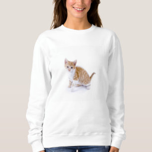 Sweatshirt joli minou