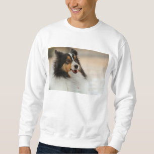 Sweatshirt Joyeuse chemise à sueur Shelty