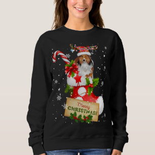 Sweatshirt Joyeux Noël Noël Lumières Père Noël Reindeer Shelt